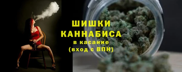 мяу мяу мука Новозыбков