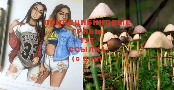 мяу мяу мука Новозыбков