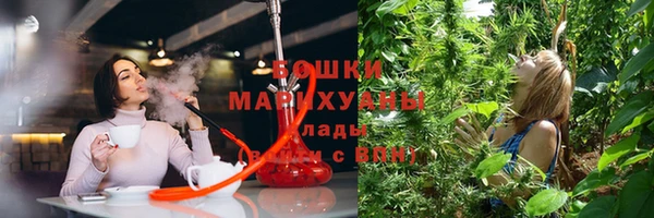 мяу мяу мука Новозыбков