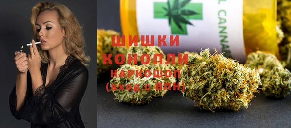 дурь Новодвинск