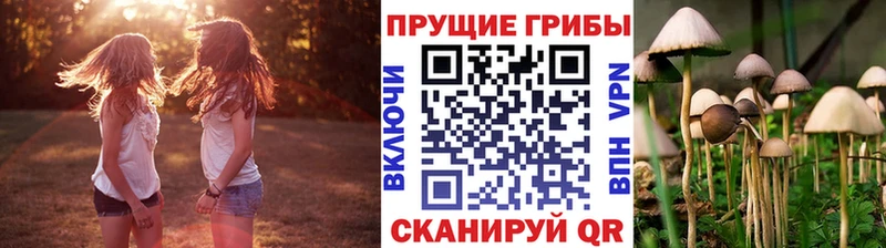 Галлюциногенные грибы прущие грибы Россошь