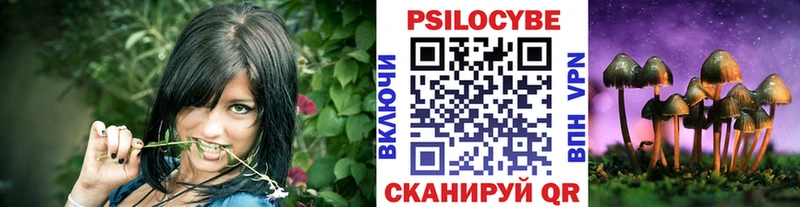 где продают   Россошь  Галлюциногенные грибы GOLDEN TEACHER 