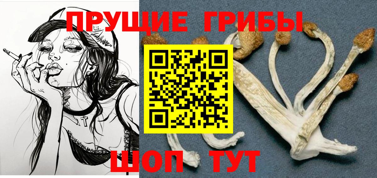 Галлюциногенные грибы Magic Shrooms Россошь