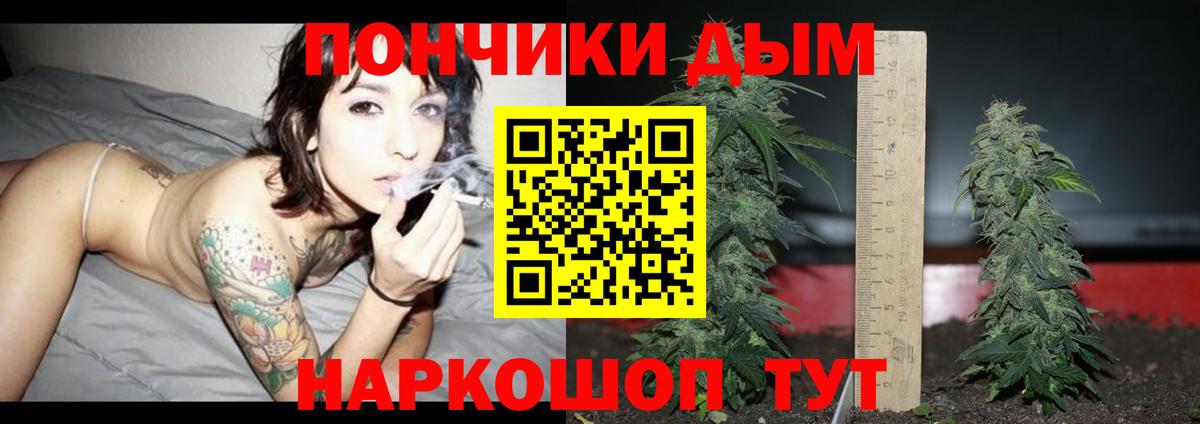 Конопля сатива Россошь